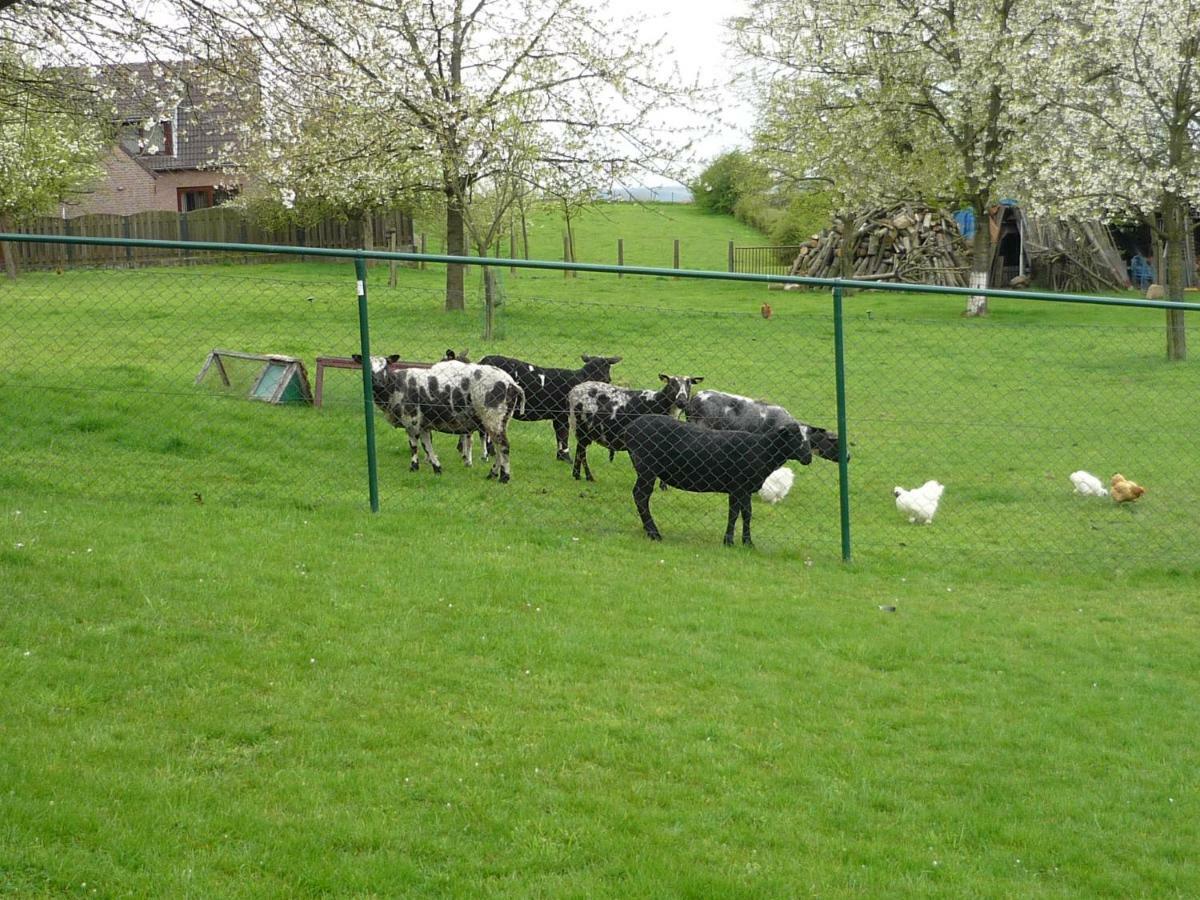 Hoeve Mingels Banholt Zewnętrze zdjęcie
