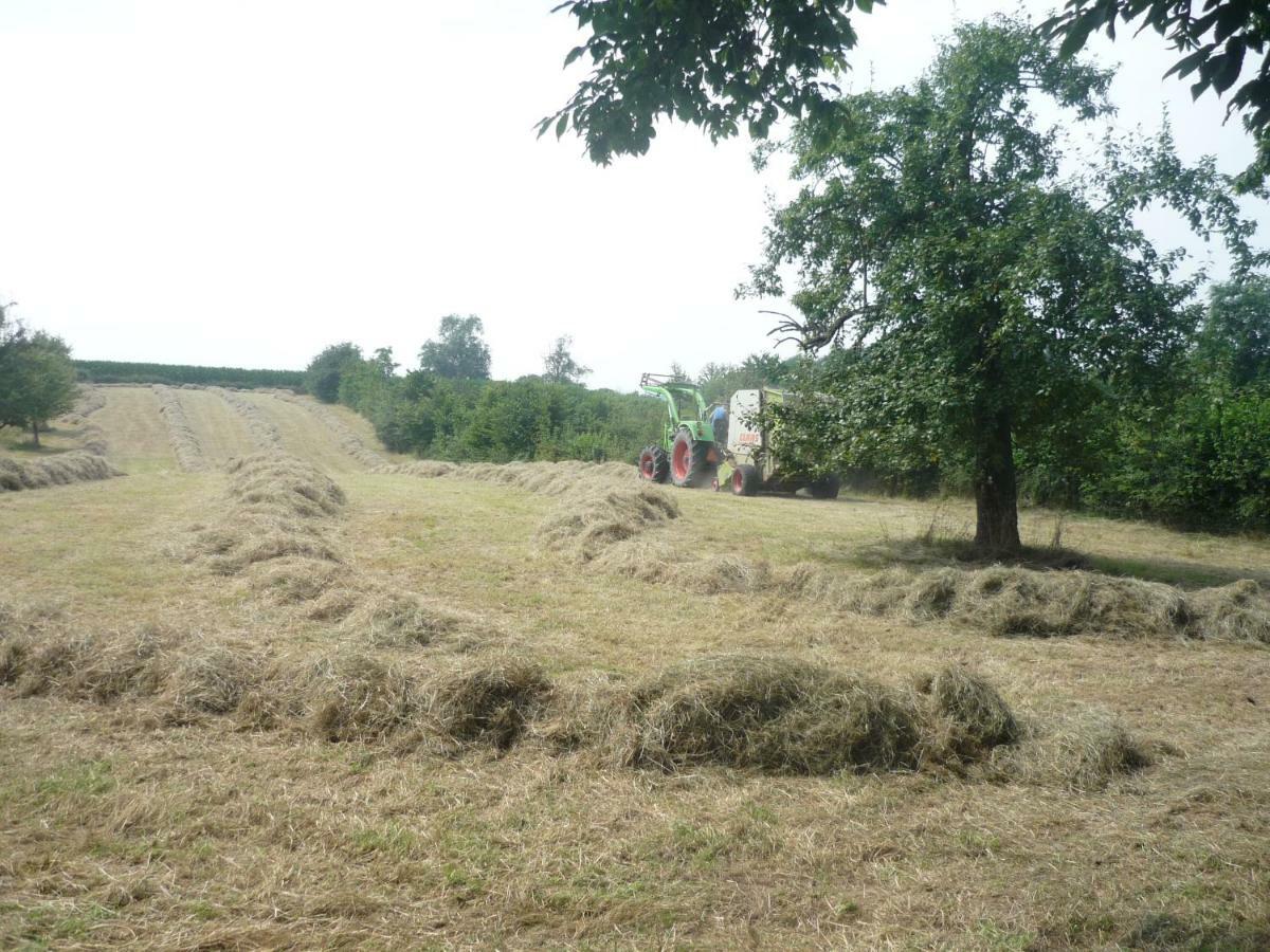 Hoeve Mingels Banholt Zewnętrze zdjęcie